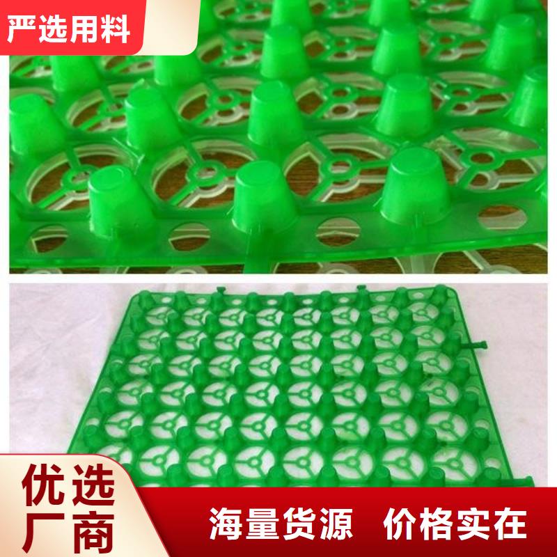 排水板植草格专业生产厂家