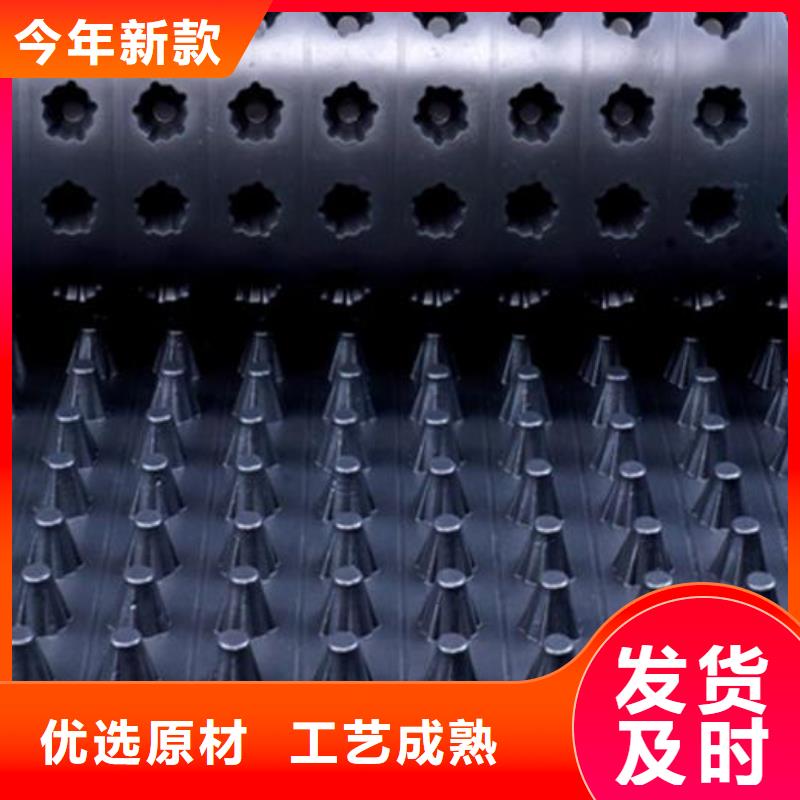 【排水板水泥化粪池源头厂家直销】
