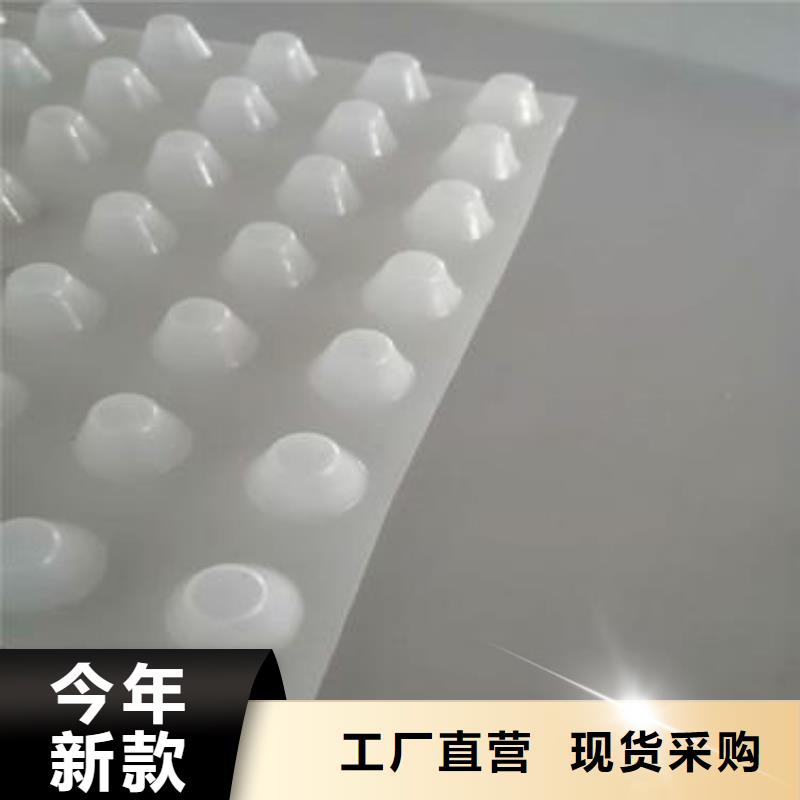 【排水板水泥化粪池工期短发货快】