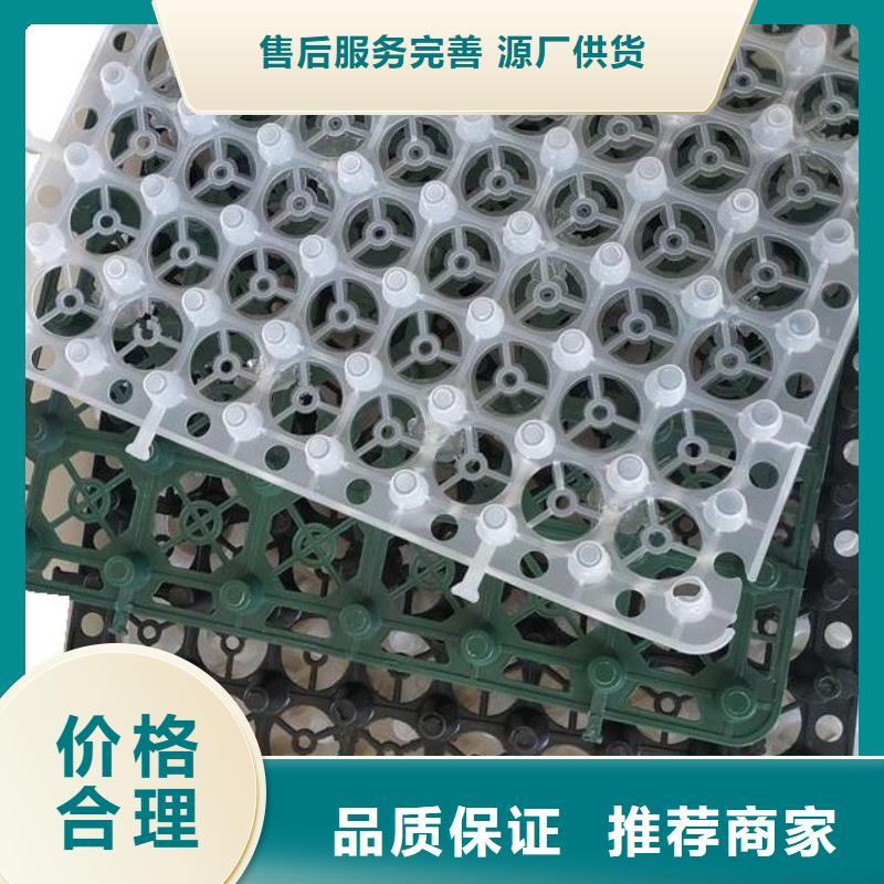 排水板实力优品