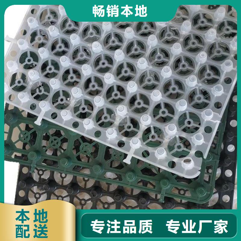 排水板防护虹吸排水收集系统拒绝中间商
