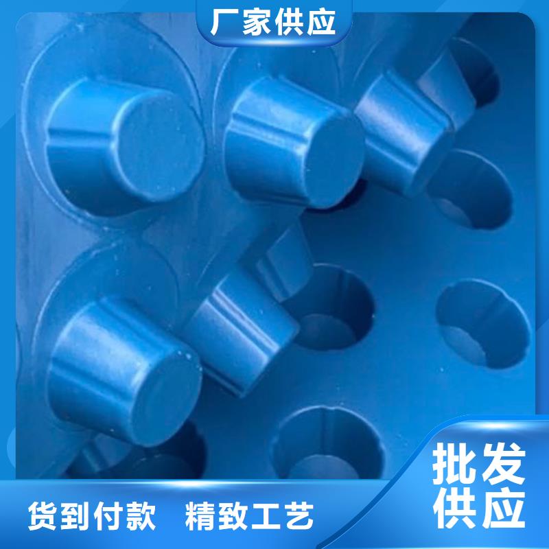 【排水板】水泥化粪池实力厂家直销