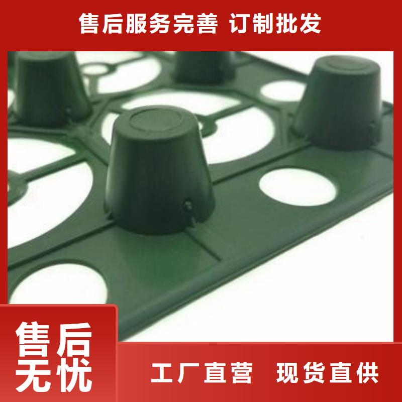 【排水板水泥化粪池工期短发货快】