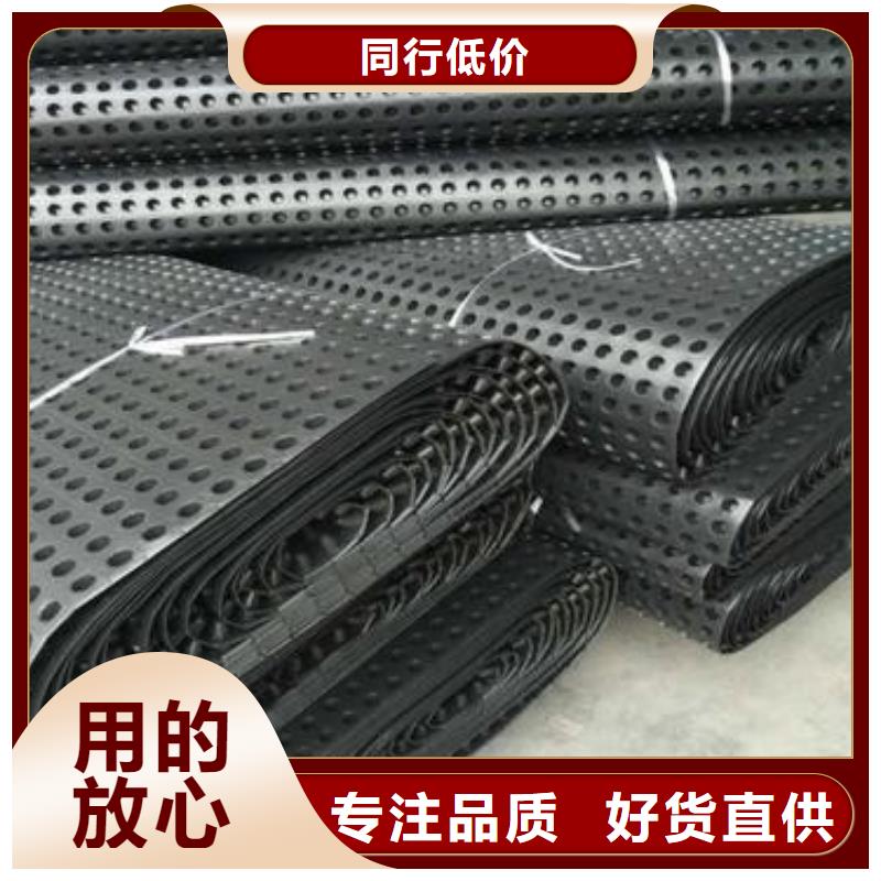 排水板水泥化粪池价格合理