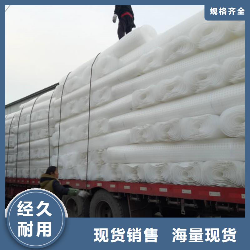 排水板植草格品质保障价格合理