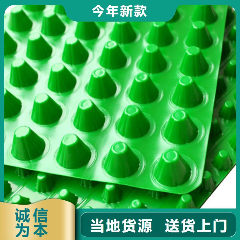 排水板植草格产品优良