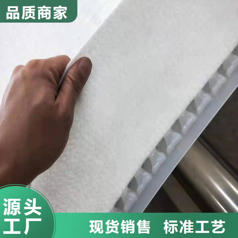 虹吸排水-植草格实体厂家大量现货