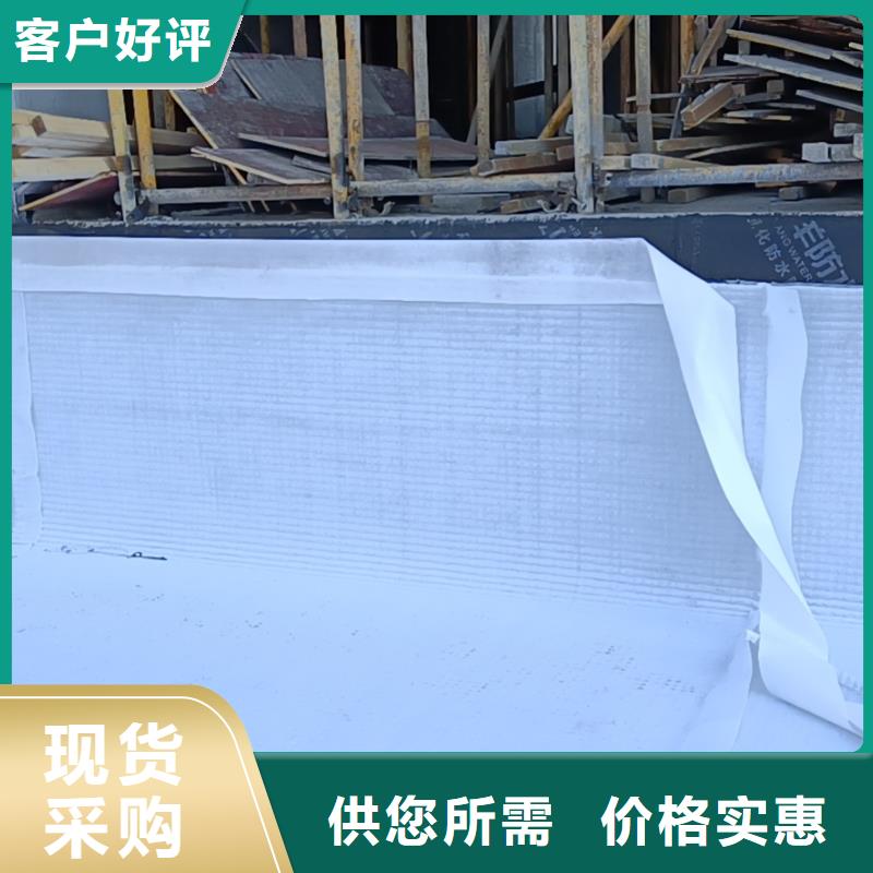 虹吸排水植草格打造行业品质