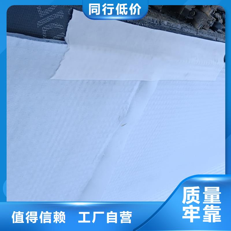 虹吸排水水泥化粪池好货直销