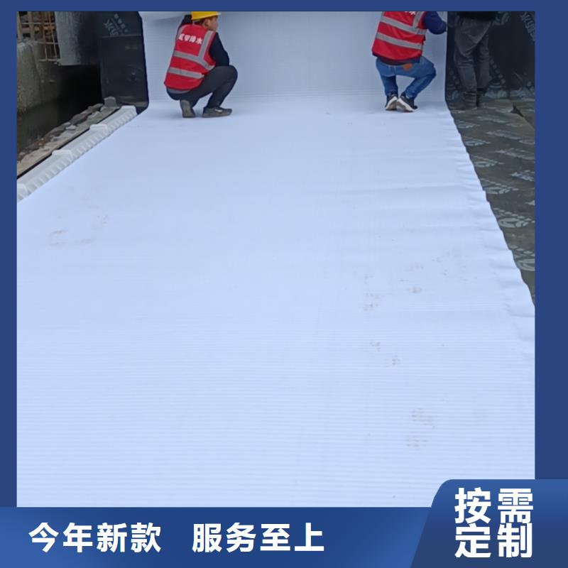 虹吸排水排水板制造生产销售