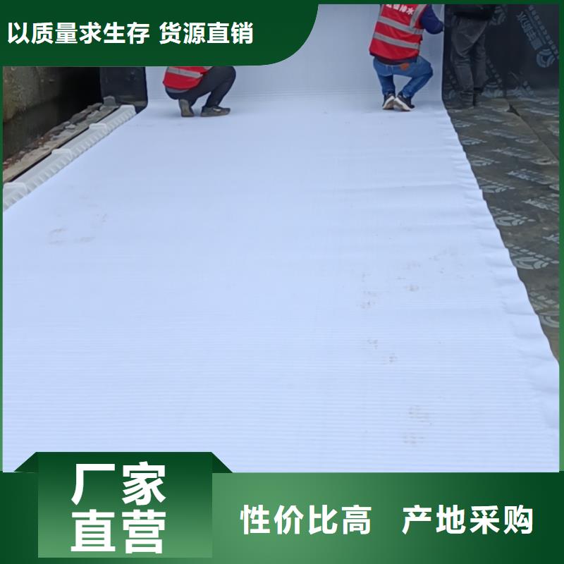 虹吸排水水泥化粪池源厂定制