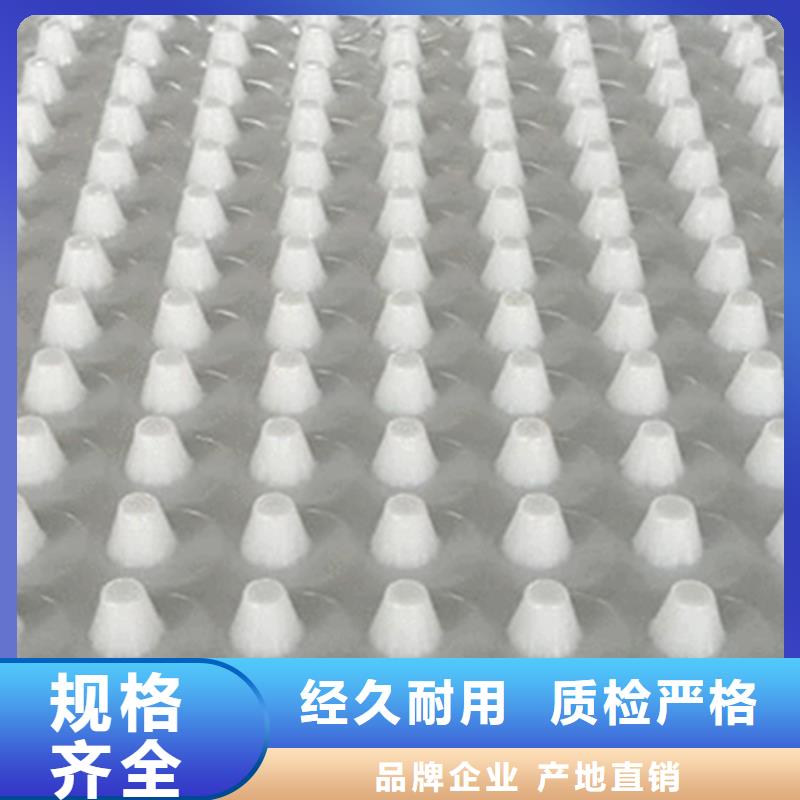 虹吸排水_植草格好产品放心购