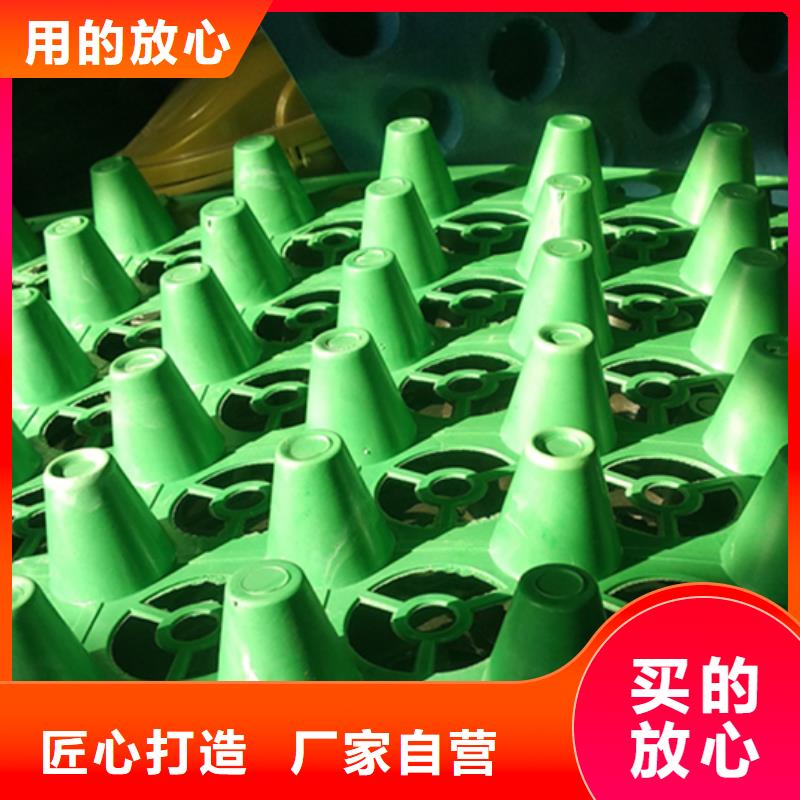 虹吸排水植草格经验丰富品质可靠