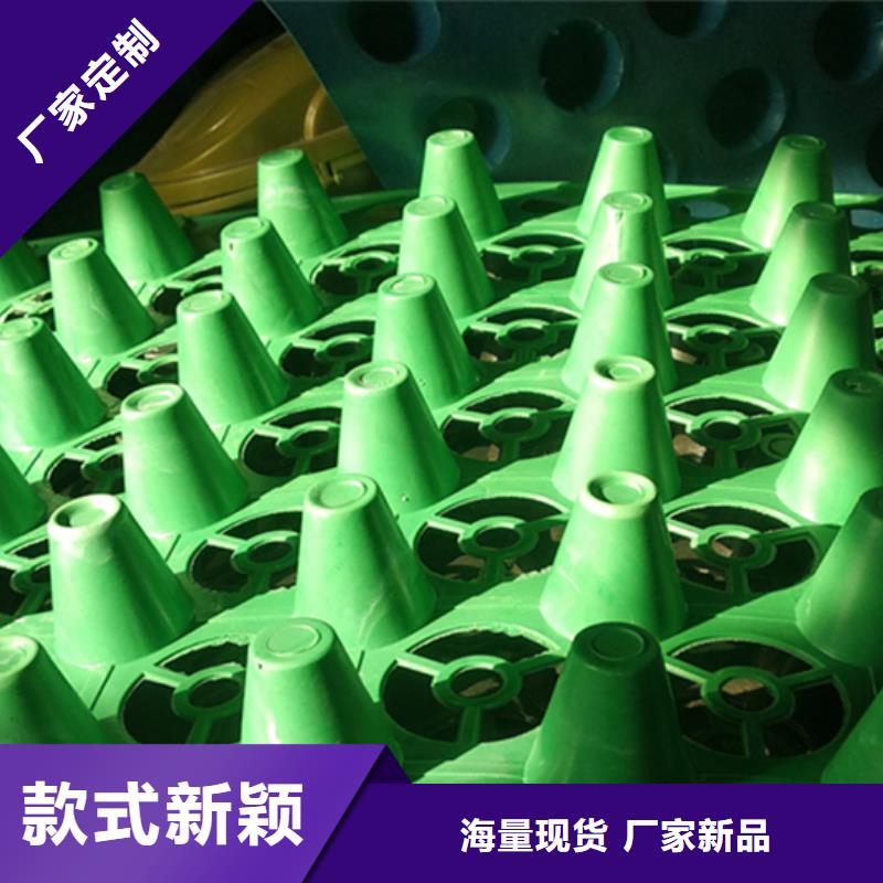 虹吸排水【植草格】值得买