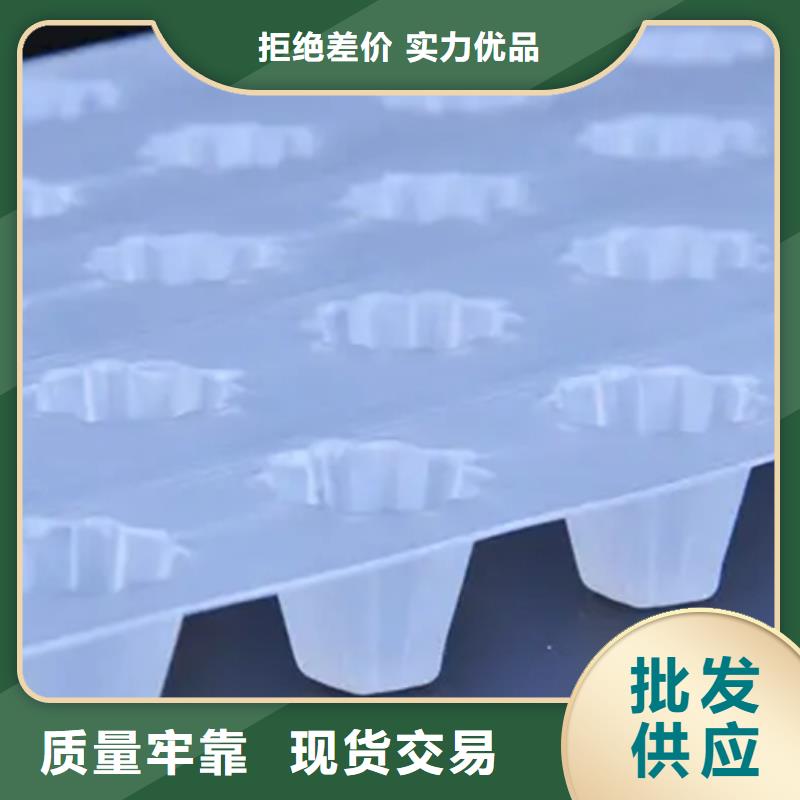 虹吸排水-水泥化粪池源厂供货