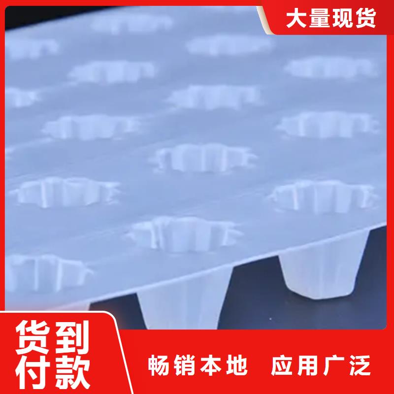 虹吸排水植草格好产品不怕比