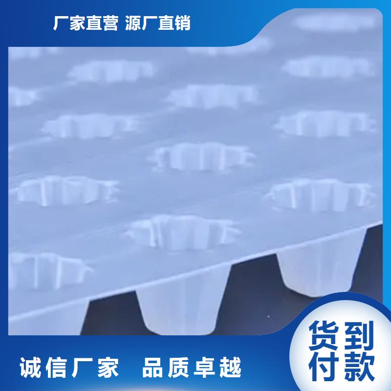 虹吸排水水泥化粪池自产自销