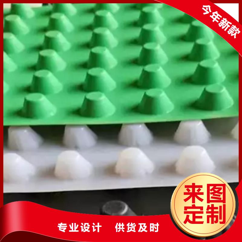 虹吸排水植草格实拍展现
