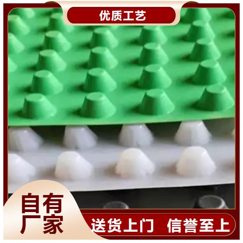 虹吸排水植草格严选好货
