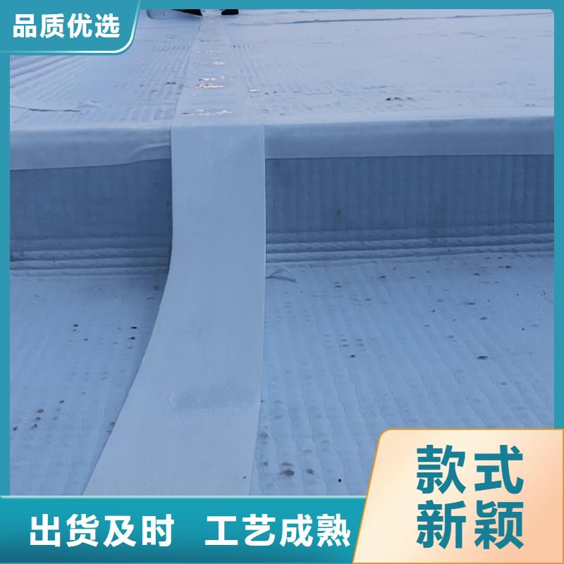 虹吸排水,防护虹吸排水收集系统工厂现货供应