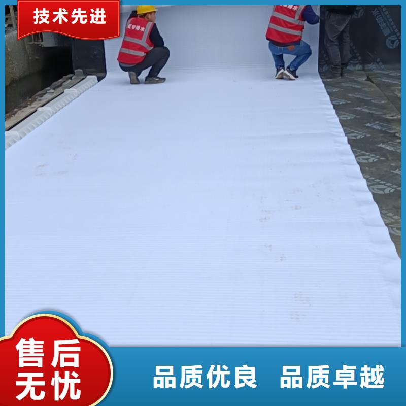 虹吸排水,【排水板】好货直销