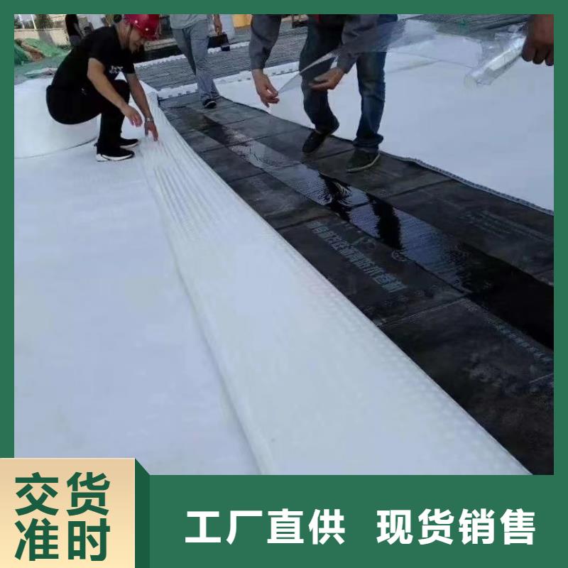 虹吸排水【植草格】实力商家供货稳定