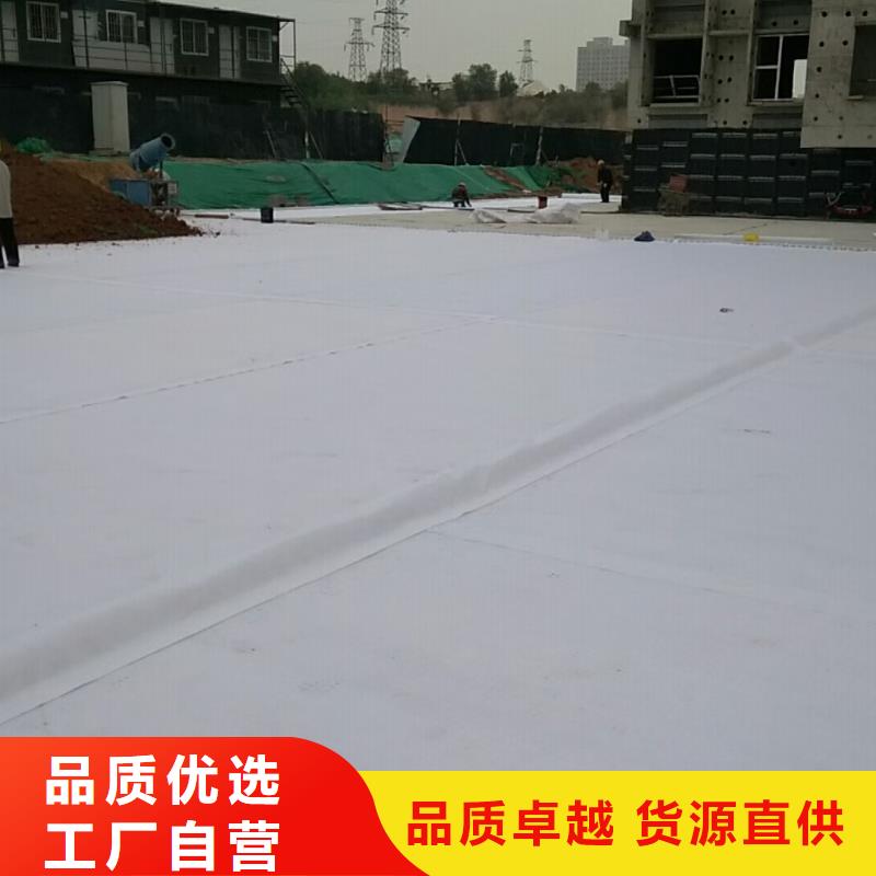 虹吸排水水泥化粪池自产自销