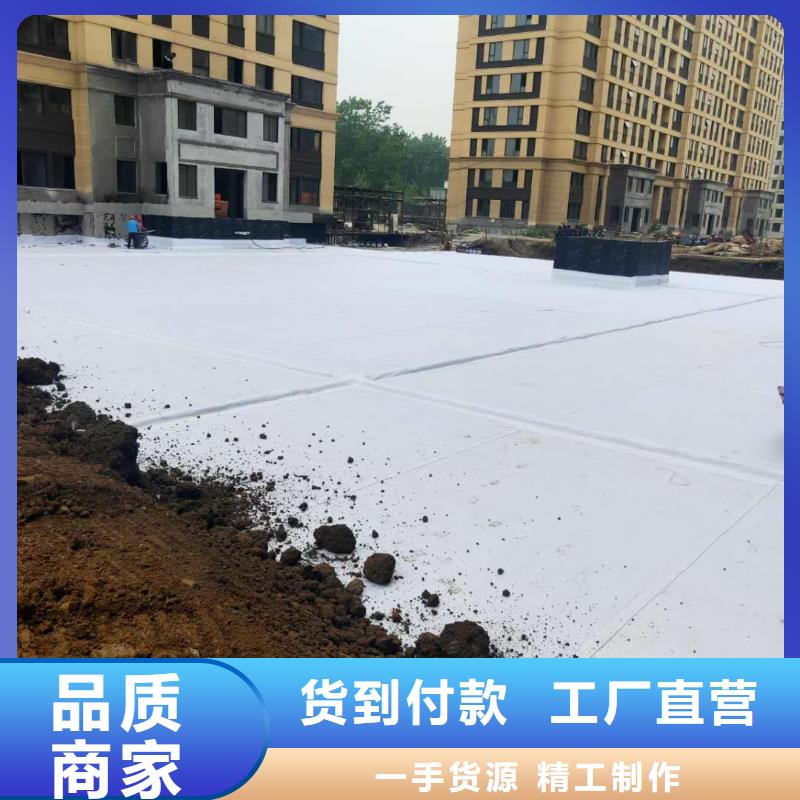 虹吸排水水泥化粪池大量现货供应