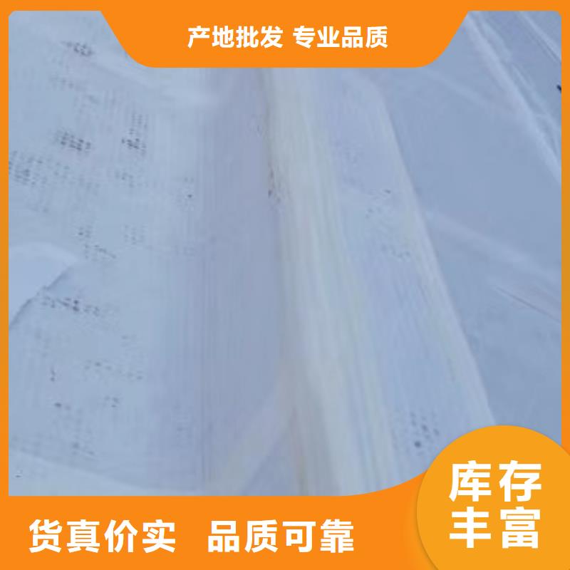 虹吸排水水泥化粪池一手价格