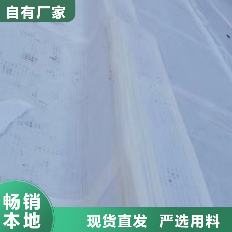 虹吸排水水泥化粪池自产自销