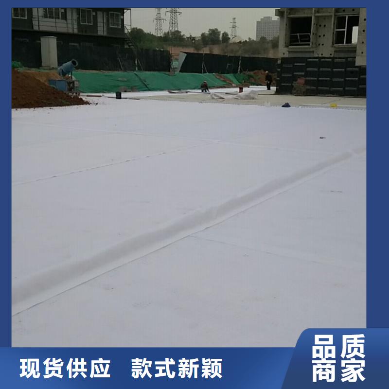 虹吸排水【植草格】实力商家供货稳定