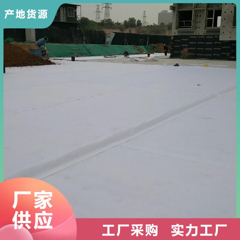 虹吸排水【植草格】实力商家供货稳定