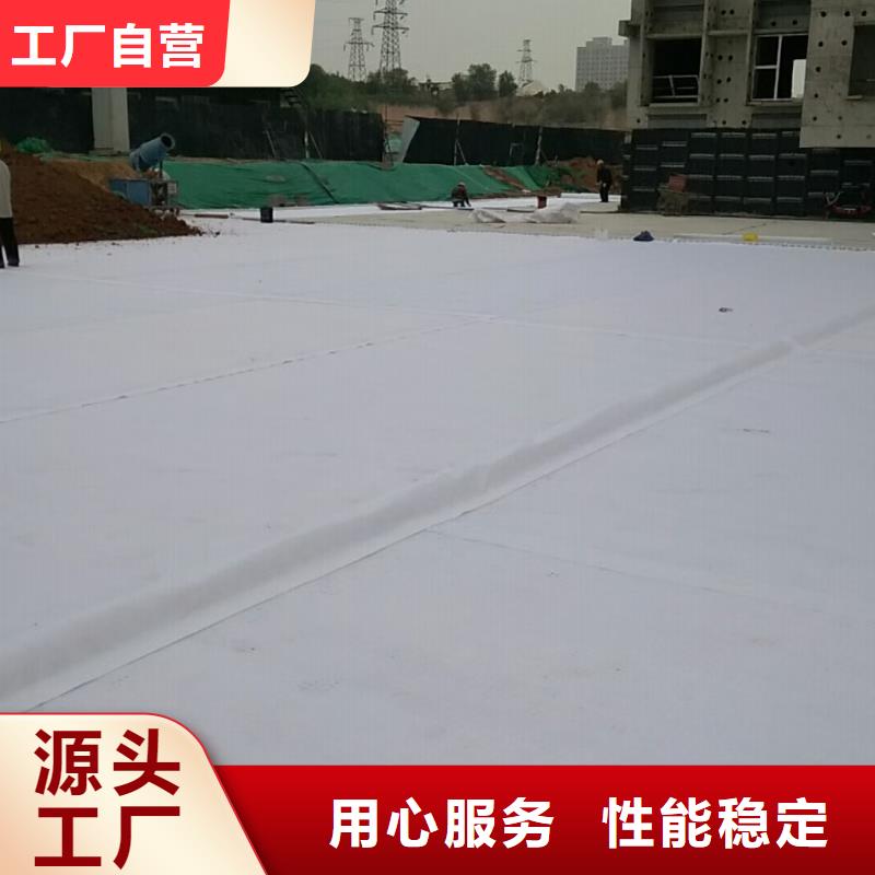 【虹吸排水】水泥化粪池好货采购