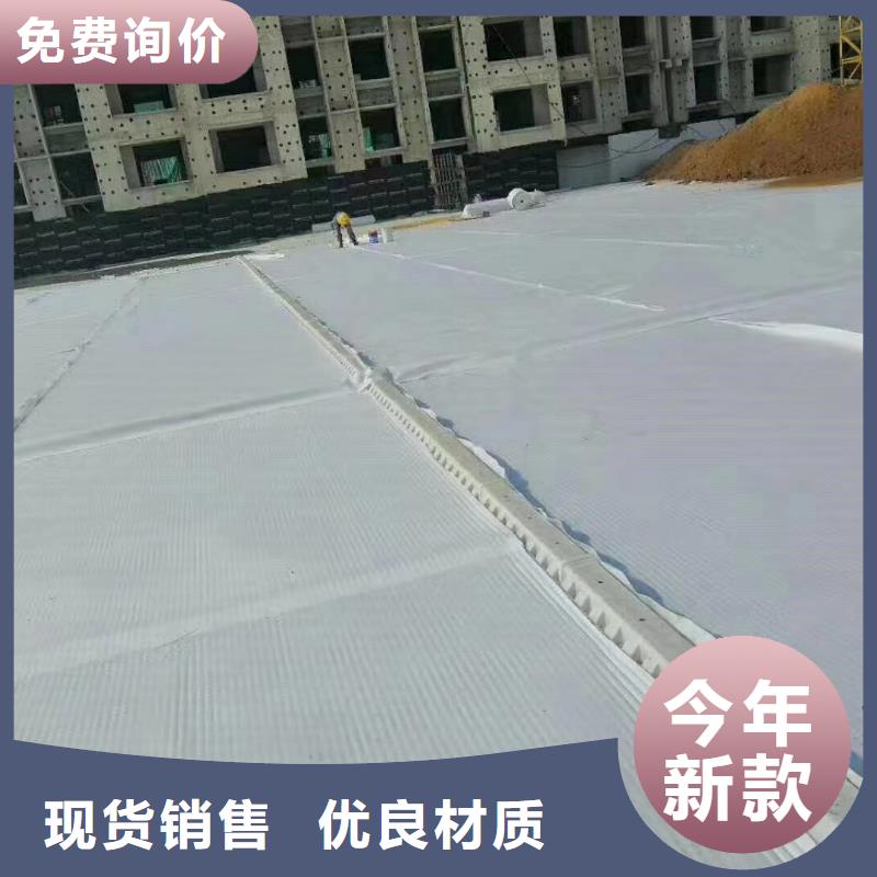 虹吸排水水泥化粪池多年经验值得信赖