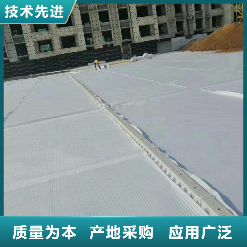 虹吸排水防护虹吸排水收集系统工厂价格