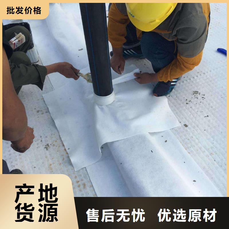 虹吸排水水泥化粪池大量现货供应