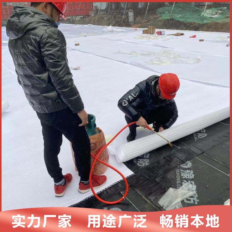 虹吸排水植草格好品质经得住考验