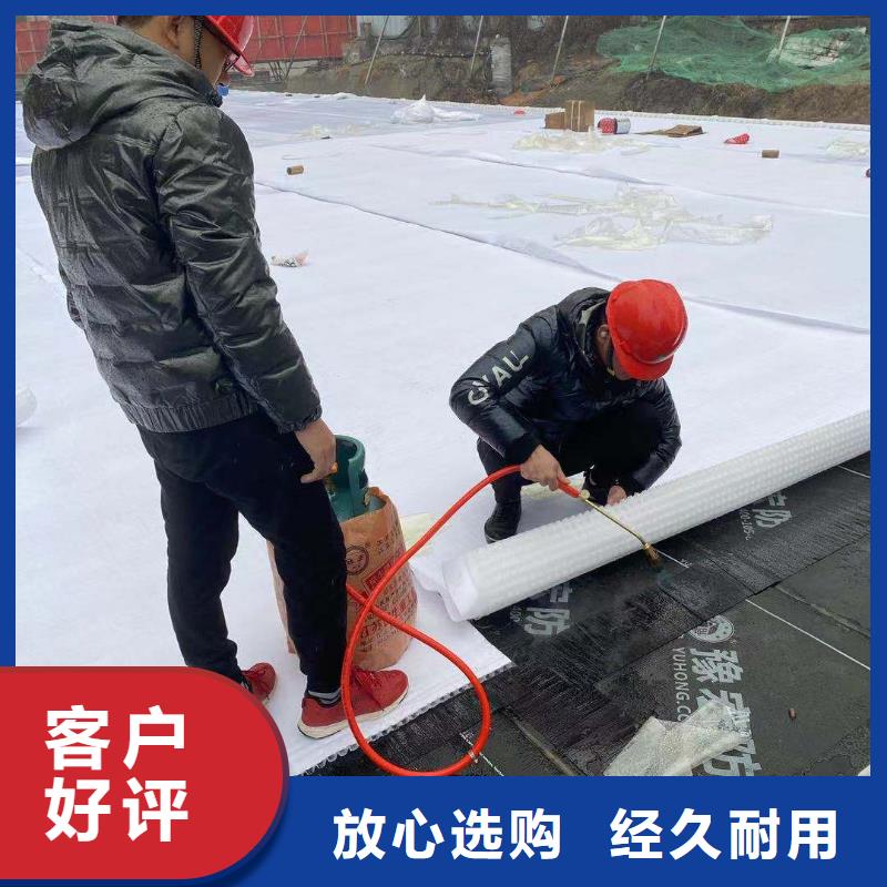 虹吸排水水泥化粪池源厂定制