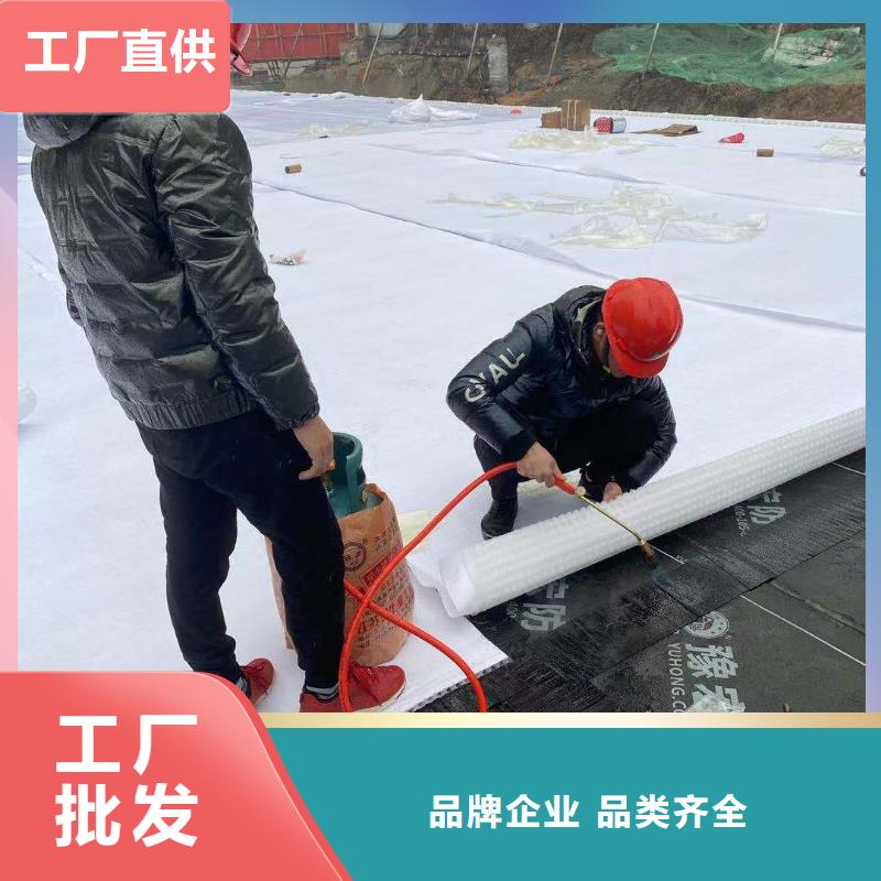 虹吸排水化粪池水泥货源直供