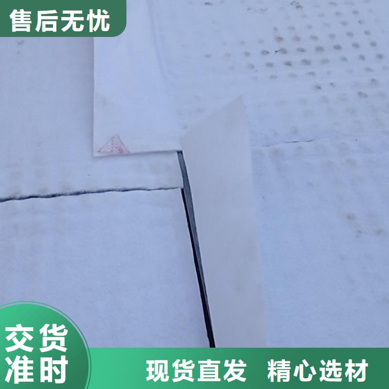 虹吸排水【植草格】实力商家供货稳定