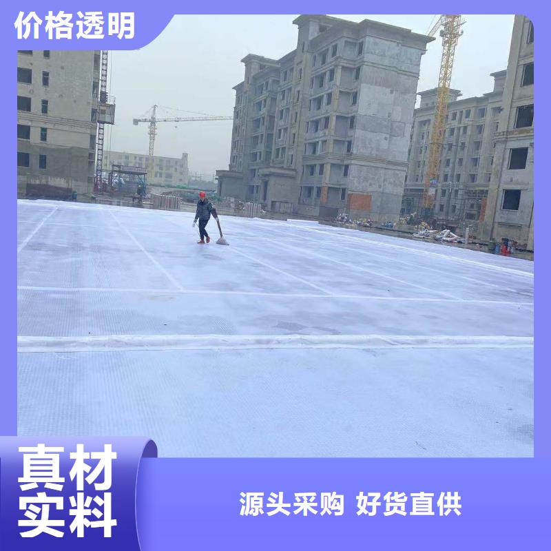 虹吸排水【植草格】按需定做