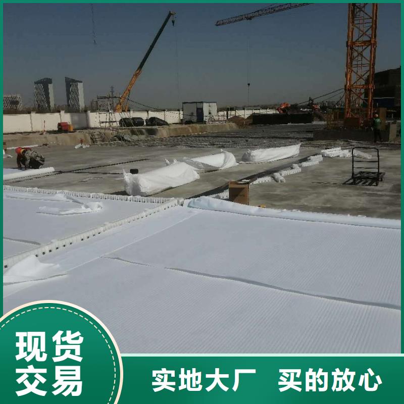 虹吸排水排水板批发货源
