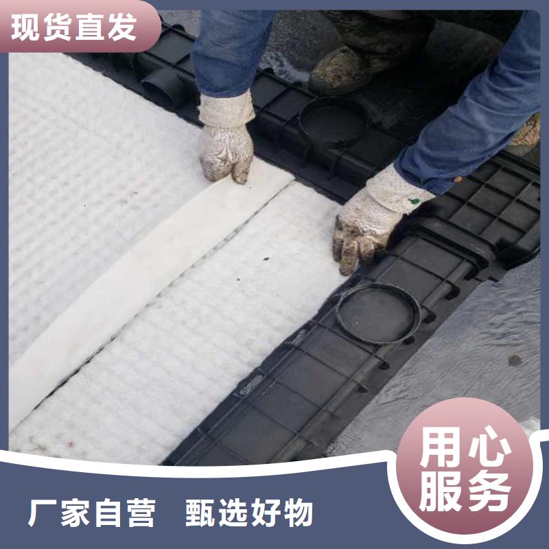 虹吸排水水泥化粪池大量现货供应