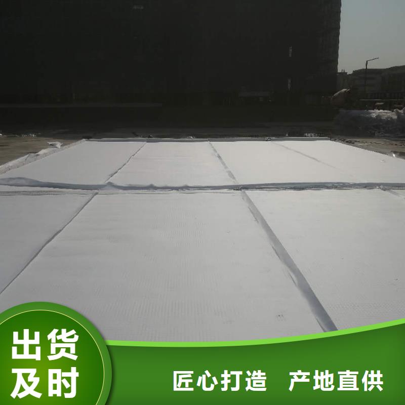 虹吸排水水泥化粪池大量现货供应