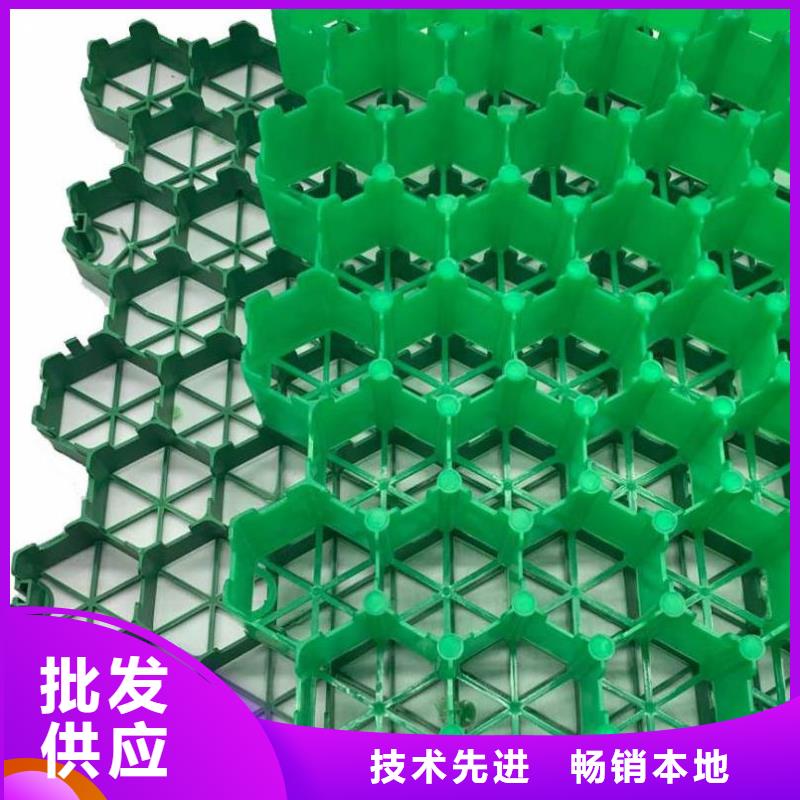植草格【防护虹吸排水收集系统】用途广泛