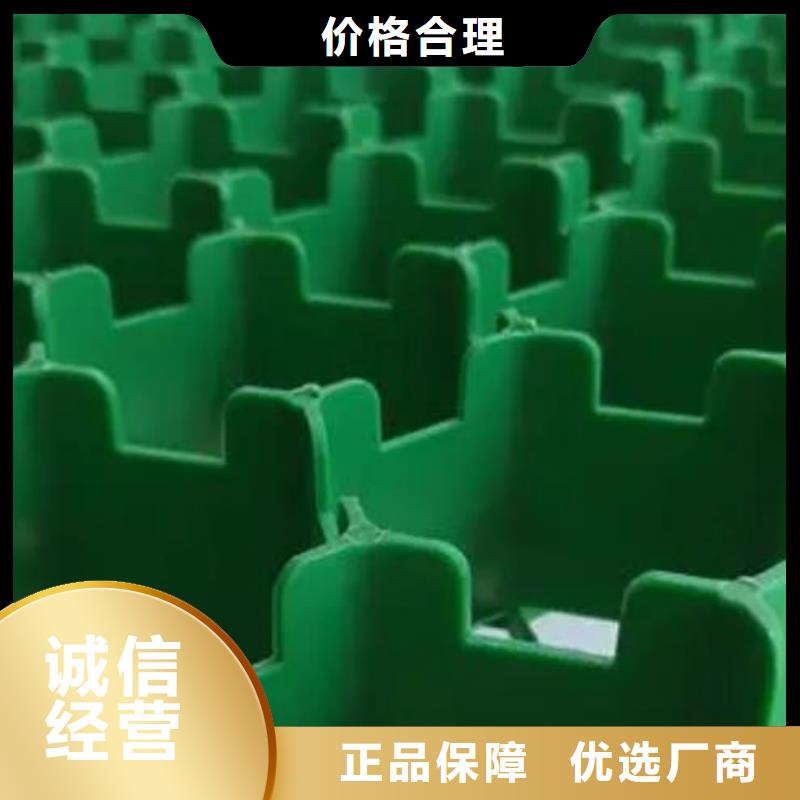 植草格水泥化粪池订制批发