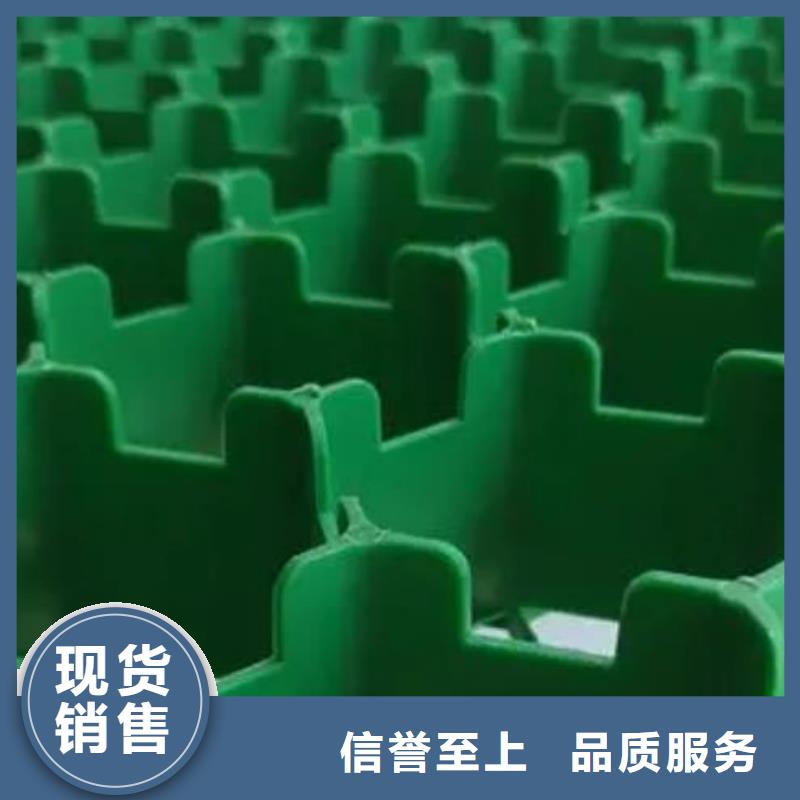 植草格植草格库存量大