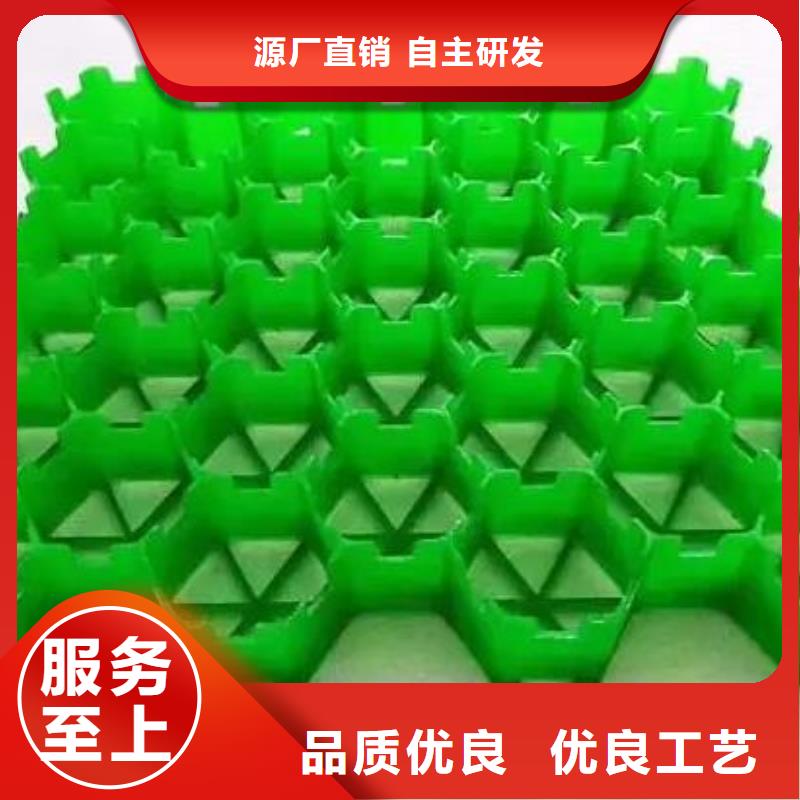 植草格植草格厂家直营
