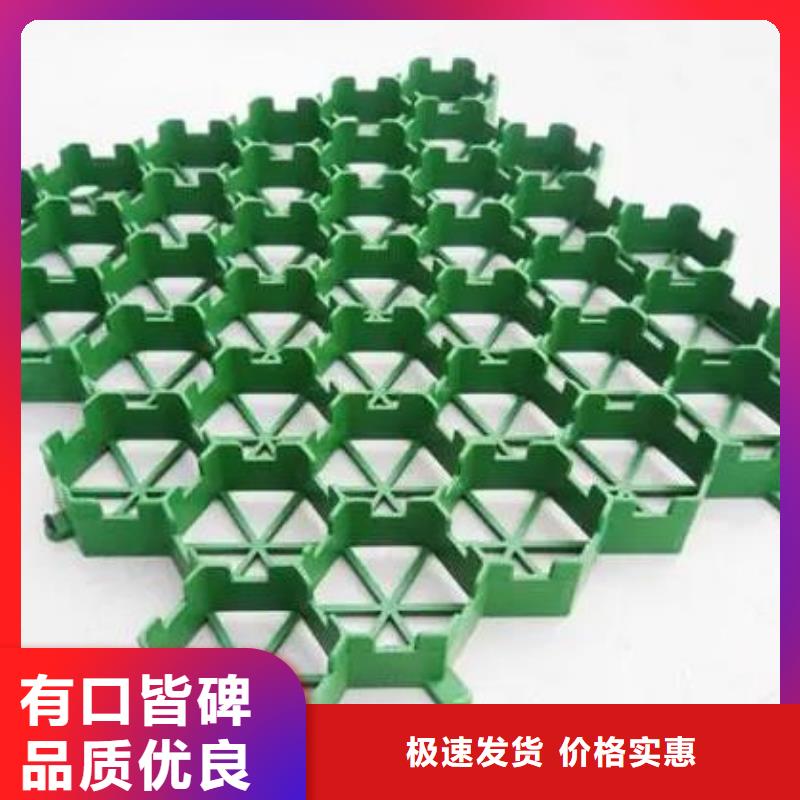 植草格水泥化粪池一手价格