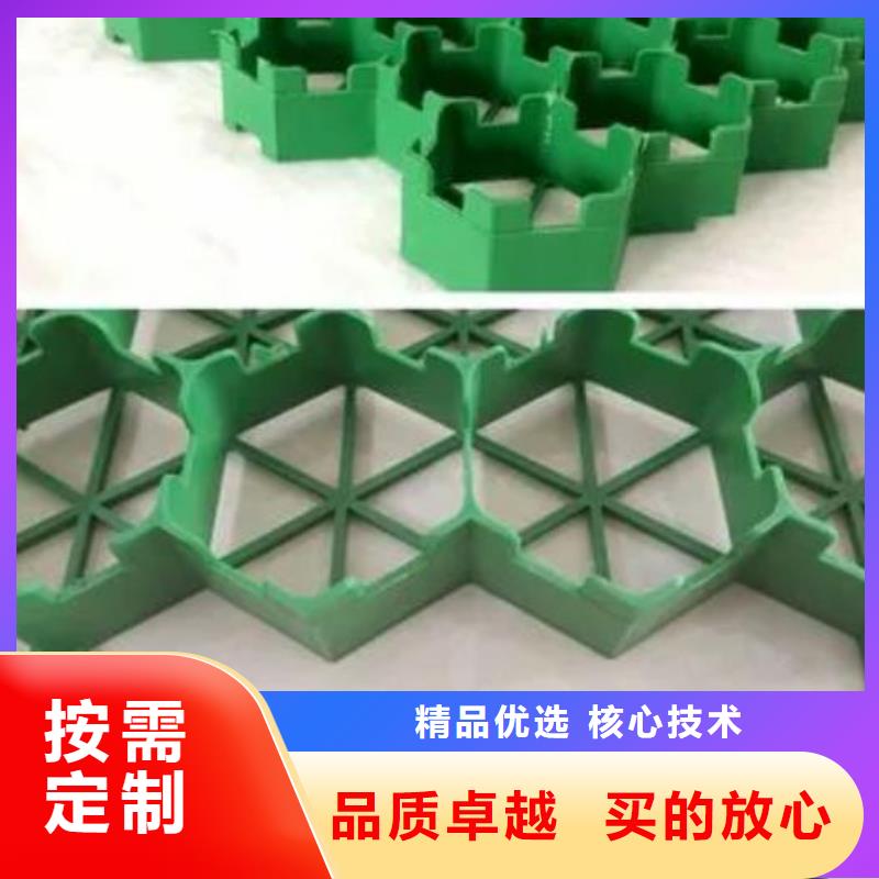 植草格实力商家供货稳定